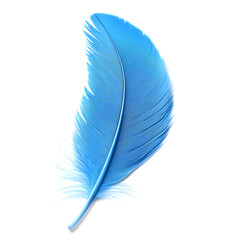Single Blue Feather on White Background