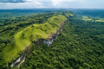 Aerial view of grassy clifftop, rainforest backdrop, equatorial landscape, conservation