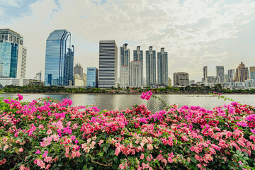 Bangkok skyline cityscape in Benjakitti park