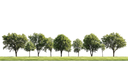 Lush green trees nature landscape png with transparency background vibrant environment side view for design use