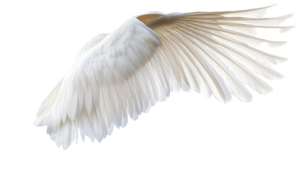 Naklejka premium Graceful white bird wings nature png image transparent background serene environment close-up view