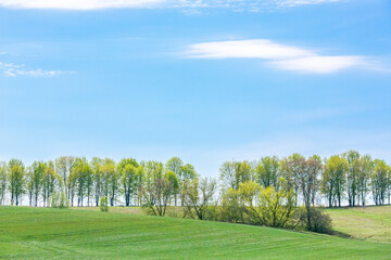 Green rolling hills with trees under blue sky