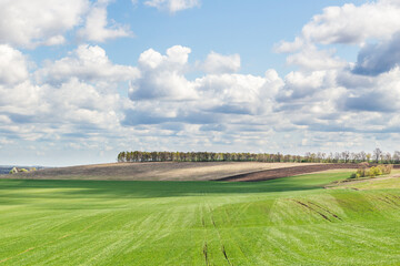 Rolling green fields under a cloudy sky