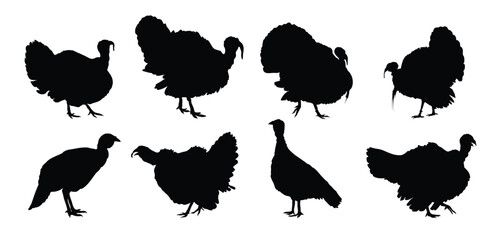 turkey silhouette set. turkey isolated farm animal silhouette icon vector collection
