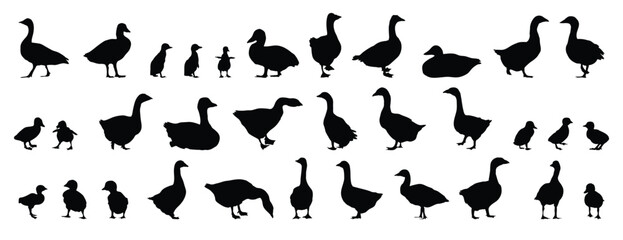 goose and gosling silhouette set. goose and gosling isolated farm animal silhouette icon vector collection © Yanka