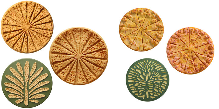 Three Circular Textured Objects Including Pizza Crust and Leaf Pattern isolated on transparent background PNG