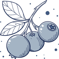 Fresh and Simple Minimalist Vector Design of Blueberry – High-Quality Illustration for Fruit, Healthy, and Natural-Themed Art