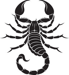 Scorpion Silhouette, Vector Design, Scorpion Icon