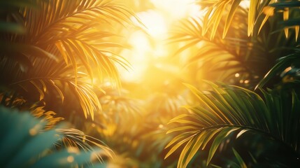 Sunlight streaming through lush green leaves creating a beautiful natural pattern on the ground below