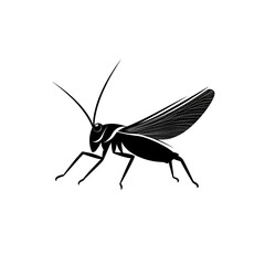 Fototapeta premium Elegant Black Grasshopper: A Minimalist Design