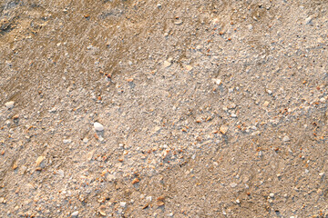 Many small shells on the sandy beach at Sam Phraya, Thailand for background.