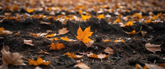 Autumn leaves scattered on dark soil with focus on bright yellow leaf in foreground natural landscape detail