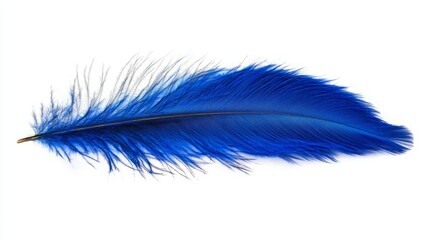 Obraz premium A single, vibrant blue feather isolated against a stark white background. Its delicate texture and rich color create a striking contrast, suggesting themes of lightness, freedom, and artistry.