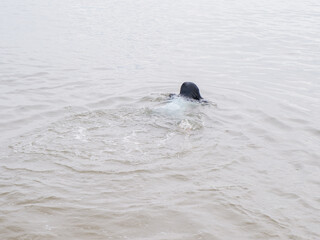 a child floating in the water of the beach