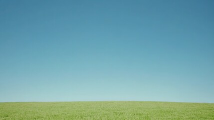 Fototapeta premium A serene field of green grass under a clear blue sky