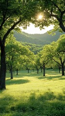 Sunlit Meadow With Trees And Hills