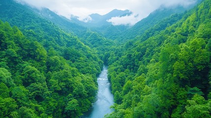 Lush green valley river aerial view, misty mountains background, nature travel