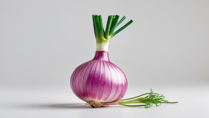 Fresh red onion with green sprouts and roots on a textured surface against a neutral background