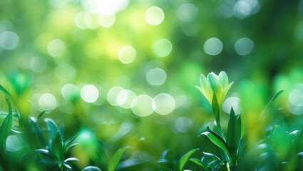 Obraz premium Green blurred background with fresh leaves and bright bokeh lights representing nature and spring season.