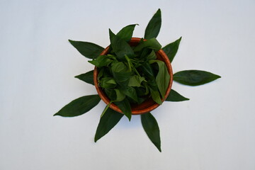 Andrographis paniculata leaves in wooden bowl. Its other name 
creat or green chireta. Its has been traditionally used to treat infections and some diseases. Mostly its used for medicinal purposes.
