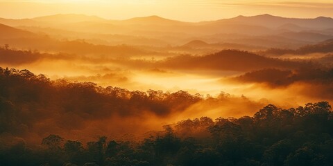 Golden sunrise illuminating misty australian rainforest valley