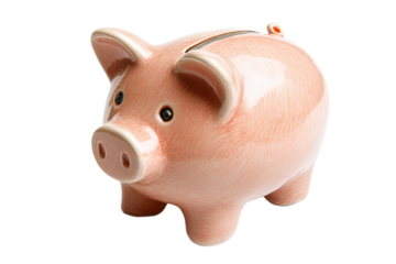 Ceramic piggy bank for saving coins and money