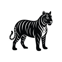 Obraz premium A black and white tiger animal vector on white background.