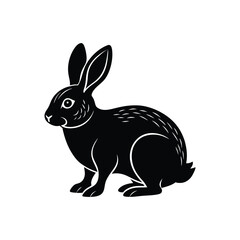 A vector illustration of a rabbit with white background.
