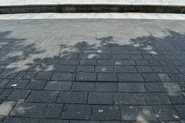 Shadows create interesting patterns on the paved surface, providing a calm and serene atmosphere in an urban park during daylight