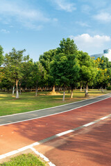 New pathway and beautiful trees track for running or walking and cycling relax in the park