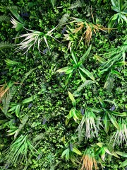 A lush green artificial plant wall with various tropical leaves and ferns. Some plants have a mix of green and golden hues, adding texture and depth to the composition.