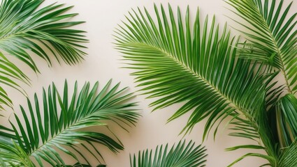 Obraz premium Lush Green Palm Leaves Against A Neutral Background Ideal For Banners And Text Overlays In Tropical And Natural Designs