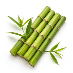 Fototapeta premium bamboo isolated on white background