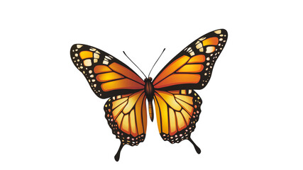 Fototapeta premium Bright monarch butterfly resting with open wings