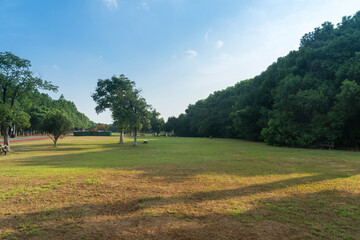 Fototapeta premium Beautiful panorama of green city park