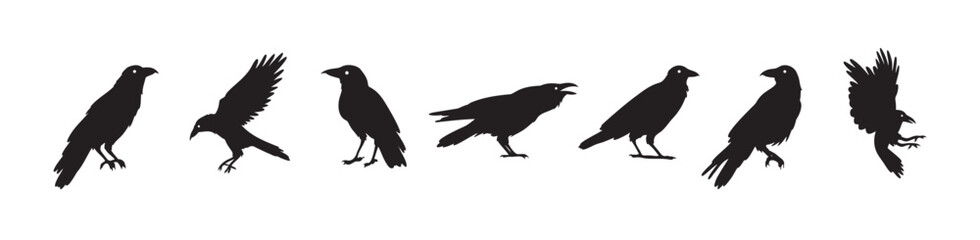Crow isolated black silhouette set. Crows, raven halloween Dark birds icon clipart