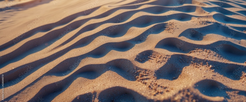 Aufkleber Sand dune texture with ripples and patterns created by wind on the surface during sunset lighting conditions.