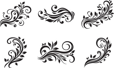 Fototapeta premium set of floral elements