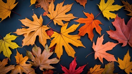 Fototapeta premium Vibrant autumn leaves in rich fall colors showcasing the beauty of the seasonal transformation amidst a dark background.