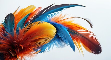 Obraz premium Vibrant composite of colorful bird feathers showcasing intricate textures against a clean white background for design and artistic use.