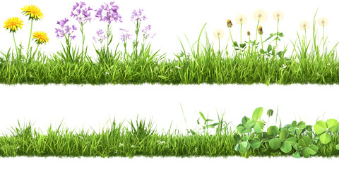 Vibrant Grass and Wildflowers, Isolated on Transparent Background