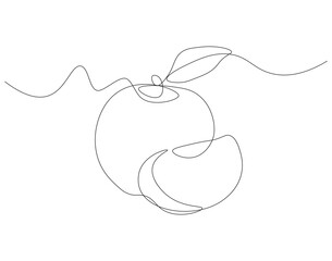 Continuous line drawing of apple. Single line illustration of national apple day. Fresh, Fruit, Healthy, Vitamin, Vegetarian concept. Editable outline