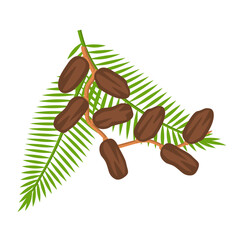 Illustration of Dates Fruit