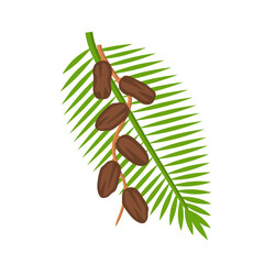 Illustration of Dates Fruit