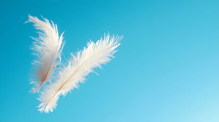 Two white feathers float against a vibrant blue background, symbolizing lightness, freedom, and serenity. Ideal for websites, blogs, or designs needing a peaceful, airy feel