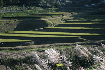 棚田のある風景