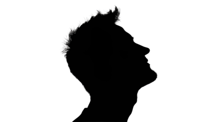 Silhouette of a person with tousled hair at sunset