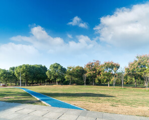 Obraz premium Beautiful panorama of green city park