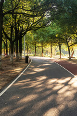 New pathway and beautiful trees track for running or walking and cycling relax in the park
