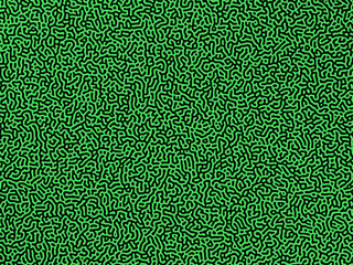 Fototapeta premium Seamless vector pattern background Organic